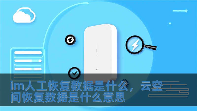 im人工恢復數據是什么，云空間恢復數據是什么意思