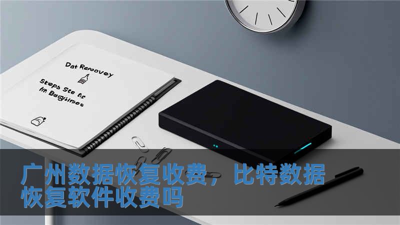 廣州數(shù)據(jù)恢復收費，比特數(shù)據(jù)恢復軟件收費嗎