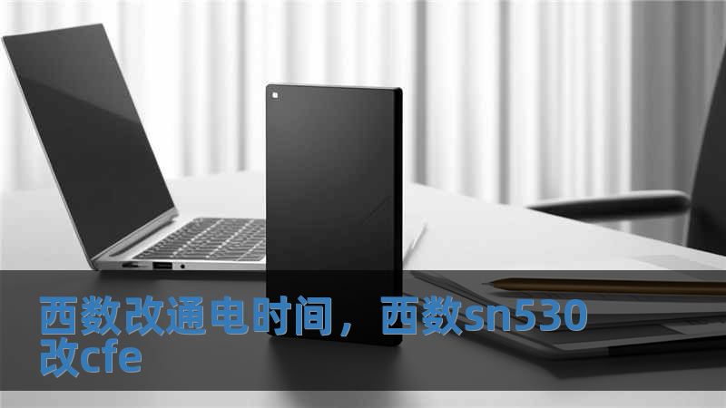 西數(shù)改通電時(shí)間，西數(shù)sn530改cfe