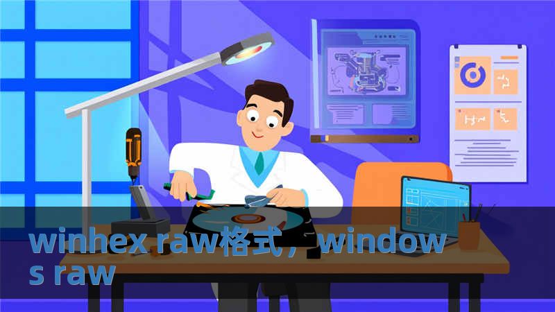 winhex raw格式，windows raw