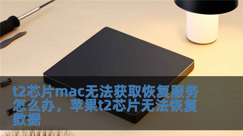 t2芯片mac無法獲取恢復服務怎么辦，蘋果t2芯片無法恢復數據