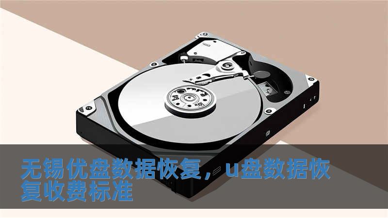 無(wú)錫優(yōu)盤(pán)數(shù)據(jù)恢復(fù)，u盤(pán)數(shù)據(jù)恢復(fù)收費(fèi)標(biāo)準(zhǔn)