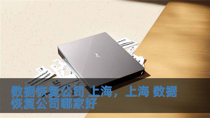 數(shù)據(jù)恢復(fù)公司 上海，上海 數(shù)據(jù)恢復(fù)公司哪家好