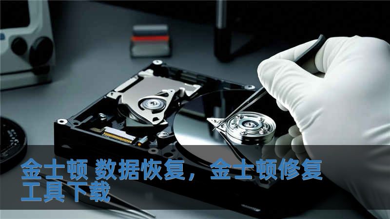 金士頓 數(shù)據(jù)恢復(fù)，金士頓修復(fù)工具下載