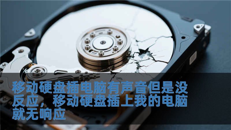 移動硬盤插電腦有聲音但是沒反應(yīng)，移動硬盤插上我的電腦就無響應(yīng)
