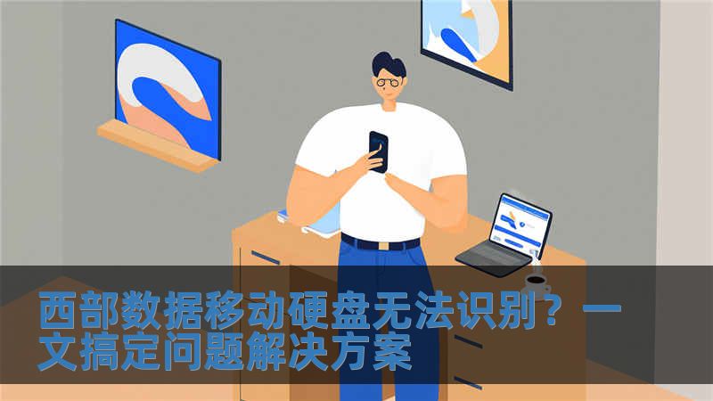 西部數據移動硬盤無法識別？一文搞定問題解決方案