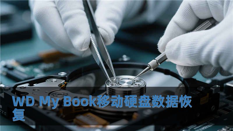 WD My Book移動(dòng)硬盤數(shù)據(jù)恢復(fù)