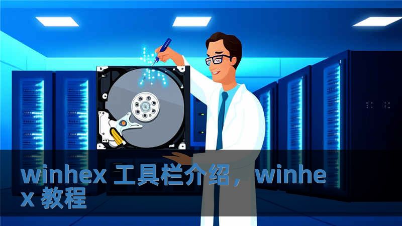 winhex 工具欄介紹，winhex 教程