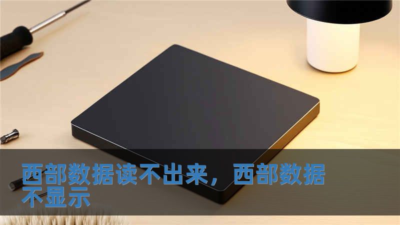 西部數據讀不出來，西部數據不顯示