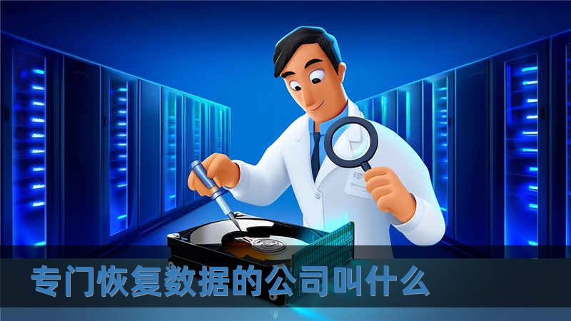 專門恢復(fù)數(shù)據(jù)的公司叫什么