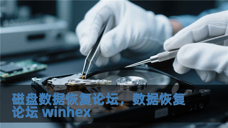 磁盤數據恢復論壇，數據恢復論壇 winhex