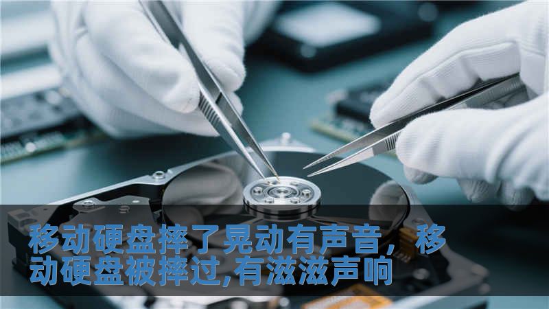 移動(dòng)硬盤摔了晃動(dòng)有聲音，移動(dòng)硬盤被摔過,有滋滋聲響