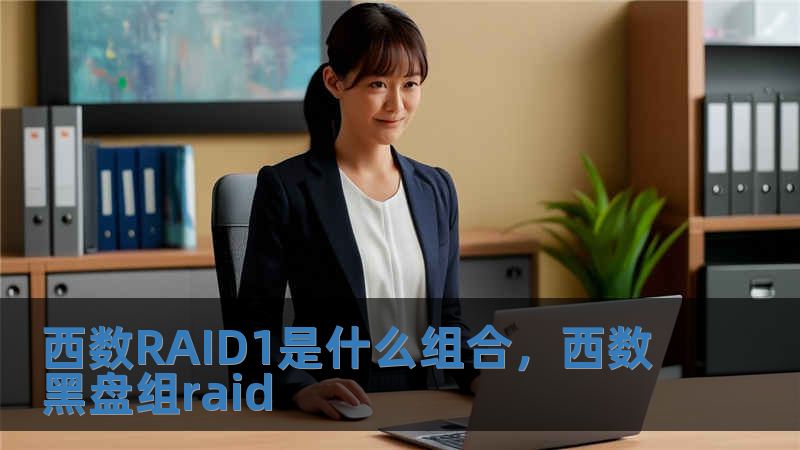 西數(shù)RAID1是什么組合，西數(shù)黑盤組raid