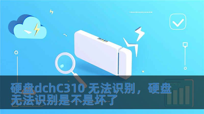 硬盤dchC310 無法識別，硬盤無法識別是不是壞了