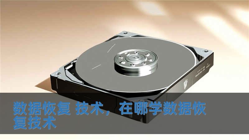 數(shù)據(jù)恢復(fù) 技術(shù)，在哪學(xué)數(shù)據(jù)恢復(fù)技術(shù)