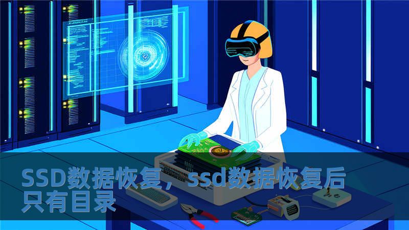 SSD數據恢復，ssd數據恢復后只有目錄