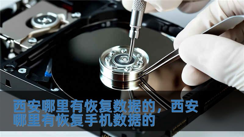 西安哪里有恢復數據的，西安哪里有恢復手機數據的