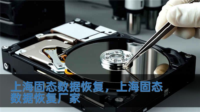 上海固態(tài)數(shù)據(jù)恢復(fù)，上海固態(tài)數(shù)據(jù)恢復(fù)廠家
