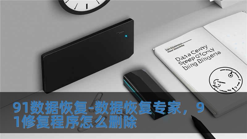 91數據恢復-數據恢復專家，91修復程序怎么刪除