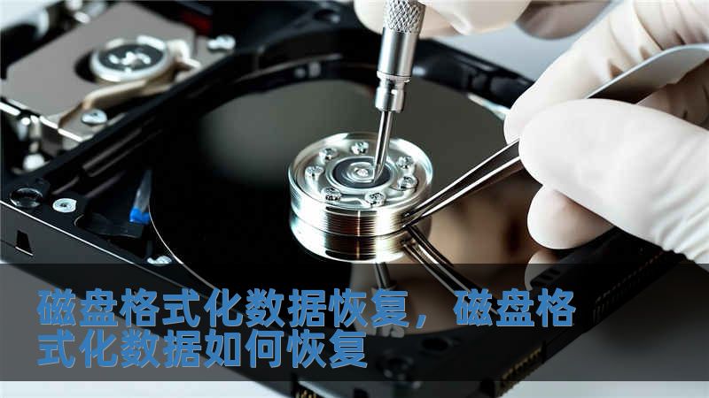 磁盤格式化數(shù)據(jù)恢復(fù)，磁盤格式化數(shù)據(jù)如何恢復(fù)