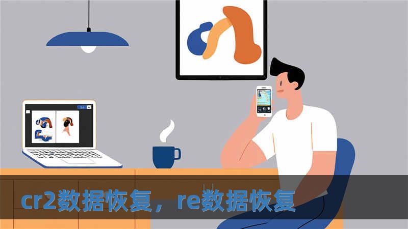 cr2數據恢復，re數據恢復