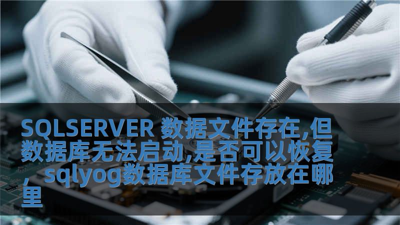 SQLSERVER 數據文件存在,但數據庫無法啟動,是否可以恢復，sqlyog數據庫文件存放在哪里
