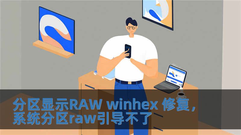 分區顯示RAW winhex 修復，系統分區raw引導不了