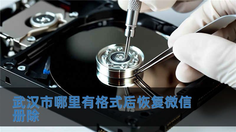 武漢市哪里有格式后恢復微信冊除