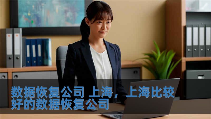 數(shù)據(jù)恢復(fù)公司 上海，上海比較好的數(shù)據(jù)恢復(fù)公司