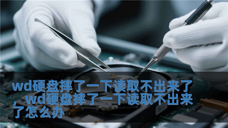 wd硬盤摔了一下讀取不出來了，wd硬盤摔了一下讀取不出來了怎么辦