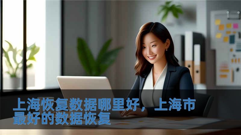 上海恢復(fù)數(shù)據(jù)哪里好，上海市最好的數(shù)據(jù)恢復(fù)