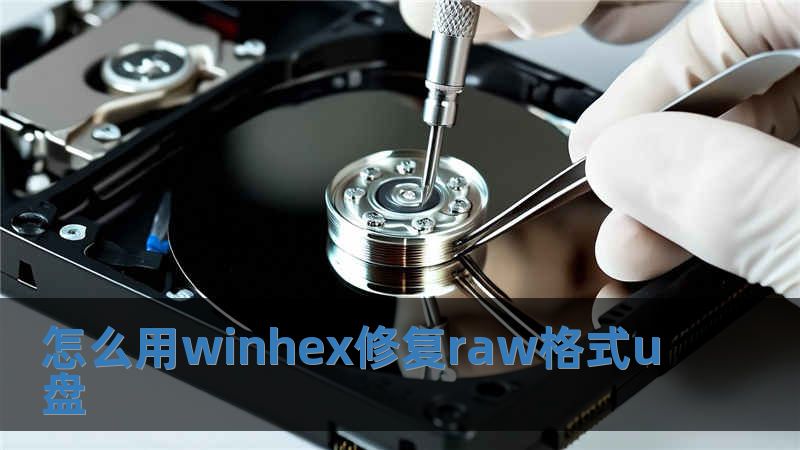 怎么用winhex修復raw格式u盤