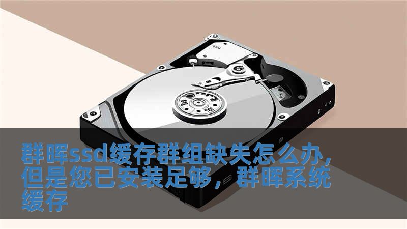 群暉ssd緩存群組缺失怎么辦,但是您已安裝足夠，群暉系統(tǒng)緩存