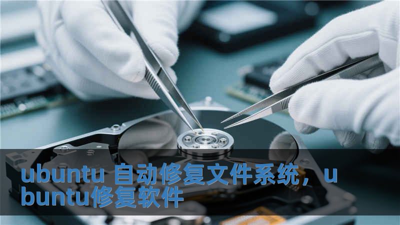 ubuntu 自動修復(fù)文件系統(tǒng)，ubuntu修復(fù)軟件