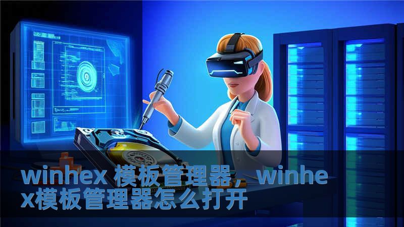 winhex 模板管理器，winhex模板管理器怎么打開