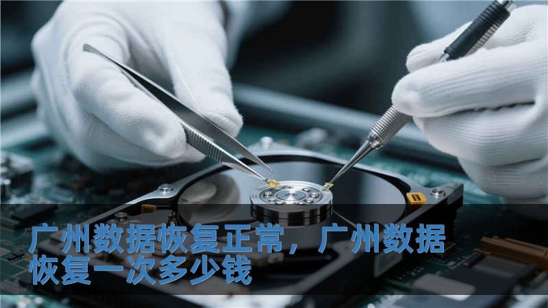 廣州數(shù)據(jù)恢復正常，廣州數(shù)據(jù)恢復一次多少錢