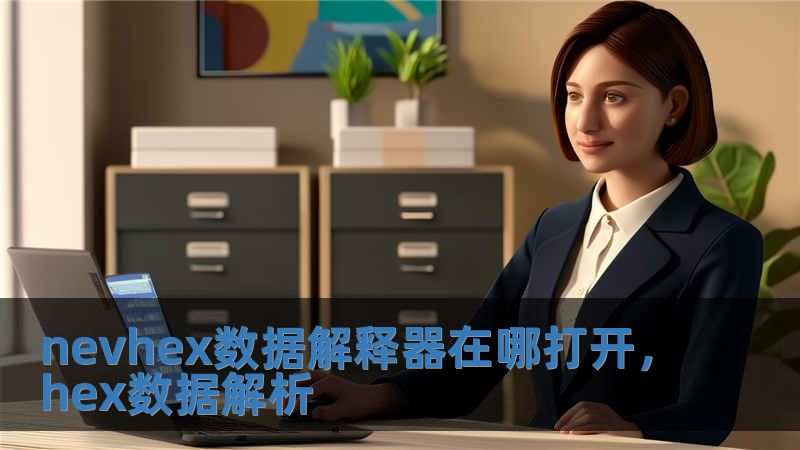 nevhex數(shù)據(jù)解釋器在哪打開，hex數(shù)據(jù)解析