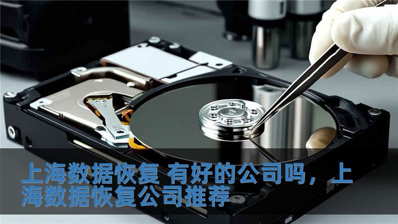 上海數據恢復 有好的公司嗎，上海數據恢復公司推薦