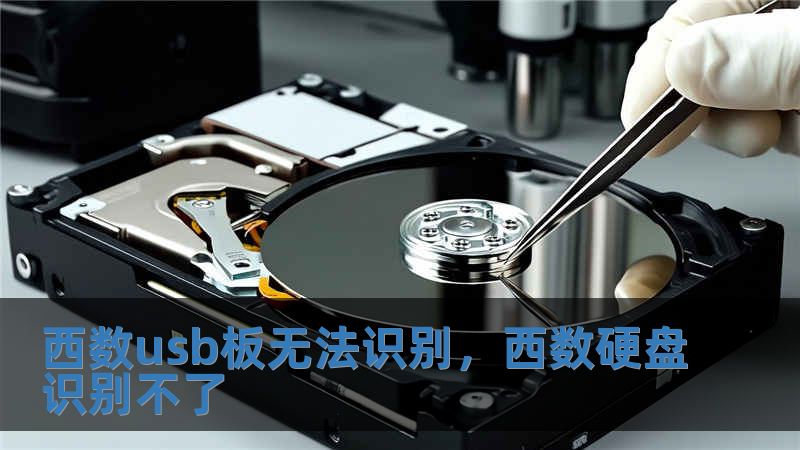西數usb板無法識別，西數硬盤識別不了