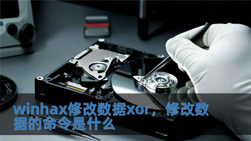 winhax修改數據xor，修改數據的命令是什么