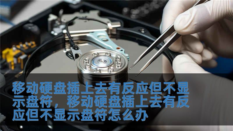 移動(dòng)硬盤插上去有反應(yīng)但不顯示盤符，移動(dòng)硬盤插上去有反應(yīng)但不顯示盤符怎么辦