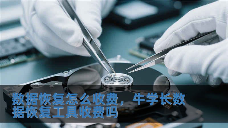 數據恢復怎么收費，牛學長數據恢復工具收費嗎