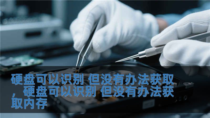 硬盤可以識別 但沒有辦法獲取，硬盤可以識別 但沒有辦法獲取內(nèi)存