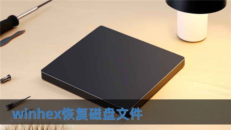 winhex恢復(fù)磁盤文件