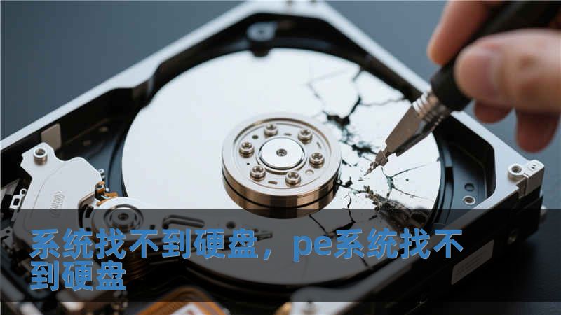 系統找不到硬盤，pe系統找不到硬盤