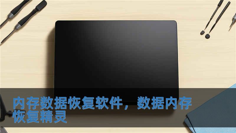 內存數(shù)據(jù)恢復軟件，數(shù)據(jù)內存恢復精靈