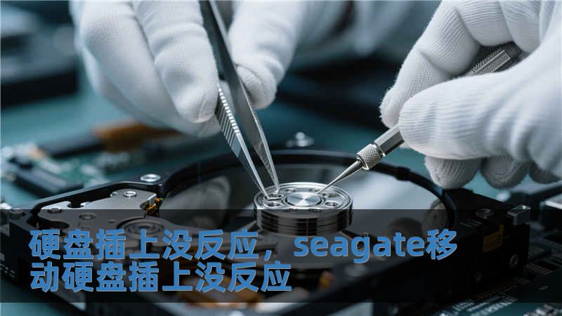 硬盤插上沒反應，seagate移動硬盤插上沒反應