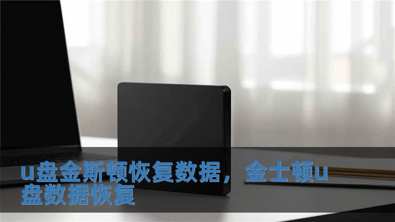 u盤金斯頓恢復數(shù)據(jù)，金士頓u盤數(shù)據(jù)恢復