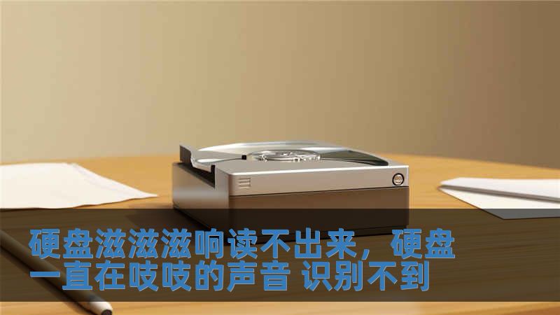 硬盤滋滋滋響讀不出來，硬盤一直在吱吱的聲音 識別不到