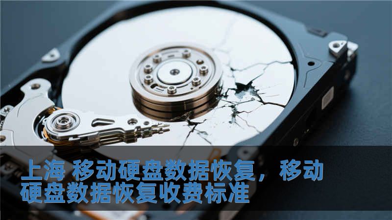 上海 移動硬盤數(shù)據(jù)恢復(fù)，移動硬盤數(shù)據(jù)恢復(fù)收費標準